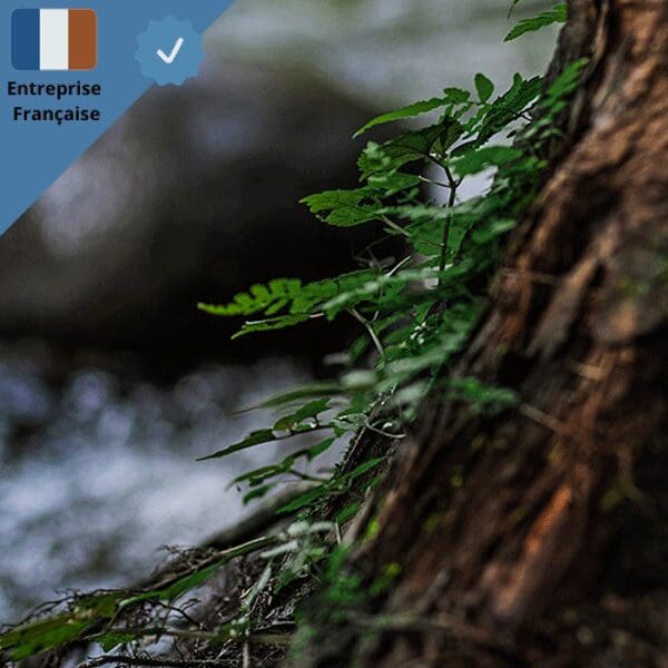 salopette-nature